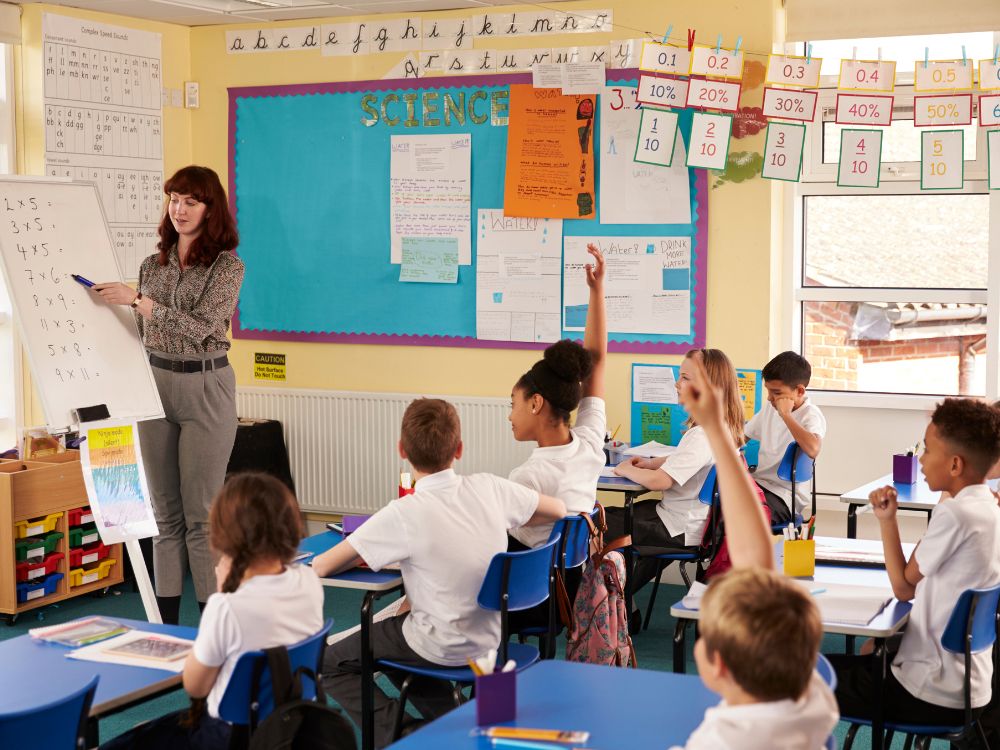 Organização escolar resumo prático e rápido